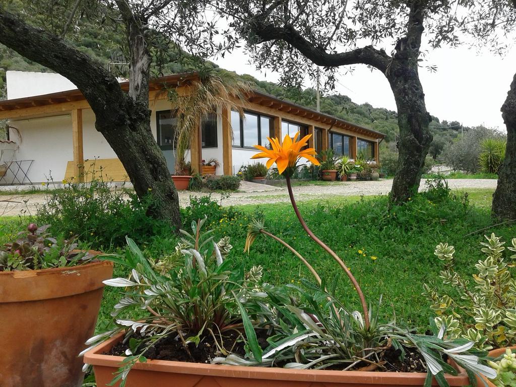 Agriturismo Locoe Oliena Zewnętrze zdjęcie