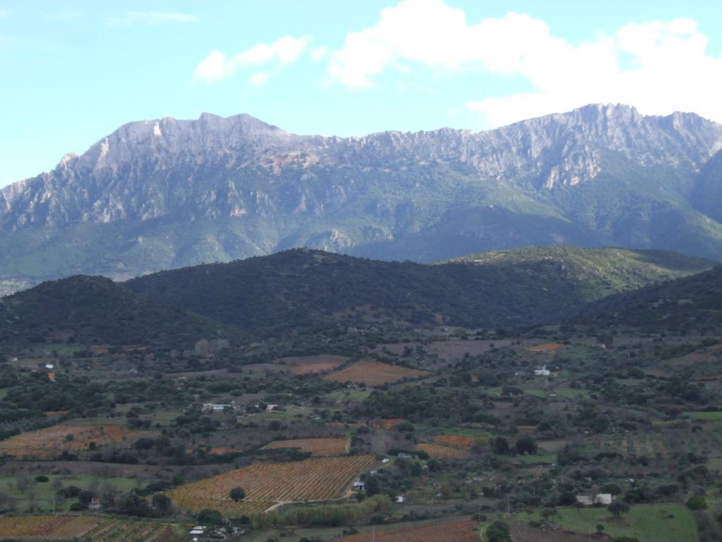 Agriturismo Locoe Oliena Zewnętrze zdjęcie