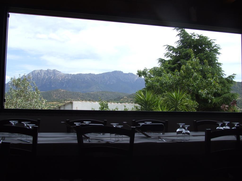 Agriturismo Locoe Oliena Zewnętrze zdjęcie